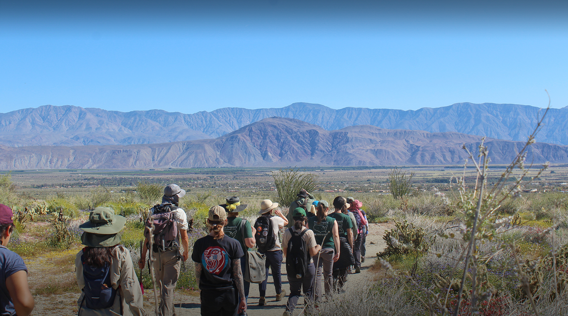 Group of students on a hike