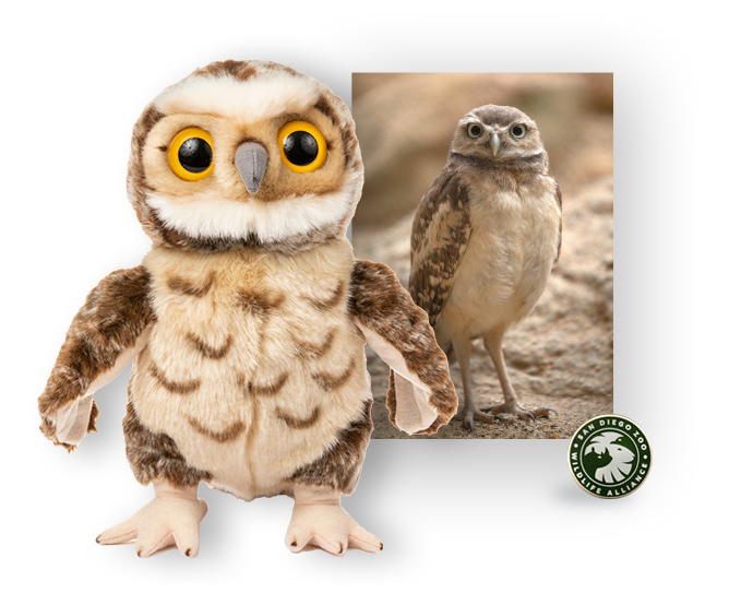 $100 Burrowing Owl Adoption