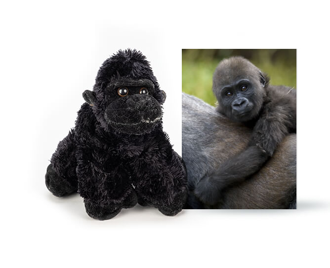 Gorilla