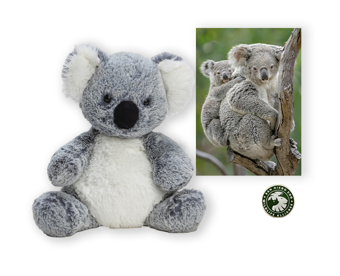 koala 100 pkg