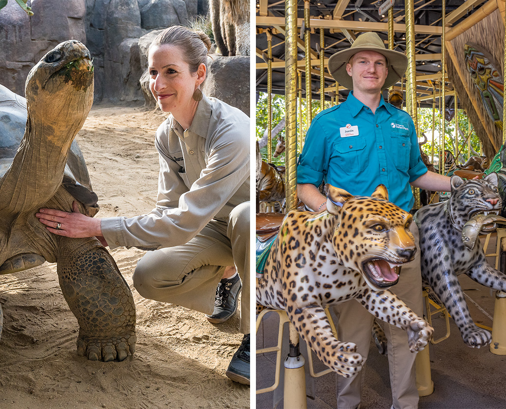 employee with tortoise and employee in carousel