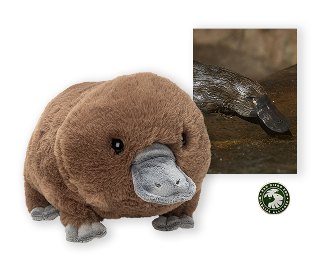 Platypus $100 Adoption Package