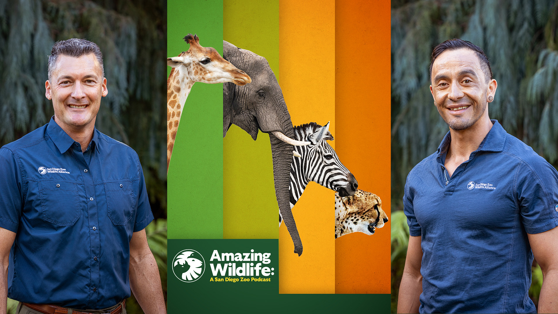 Amazing Wildlife, San Diego Zoo Podcast 