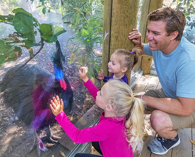 father and daughters excited to see a cassowary