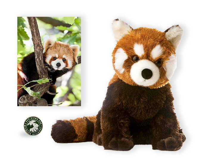 red panda plush, card, and SDZWA enamel pin