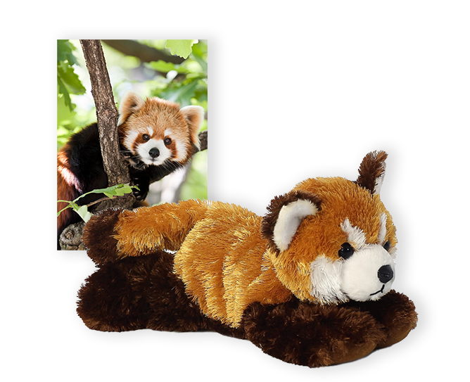 red panda plush and card