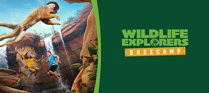 Wildlife Explorers Basecamp